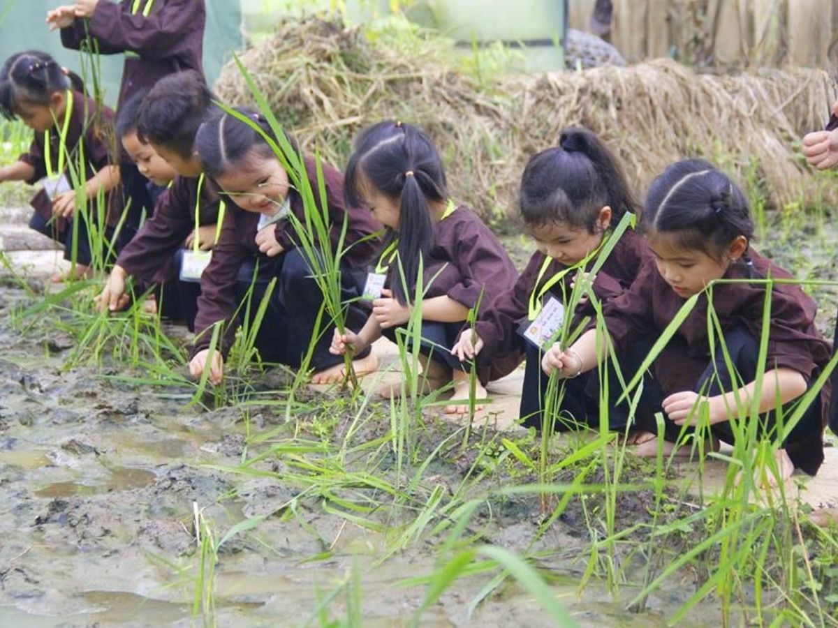 Các hoạt động ngoài trời dành cho học sinh.