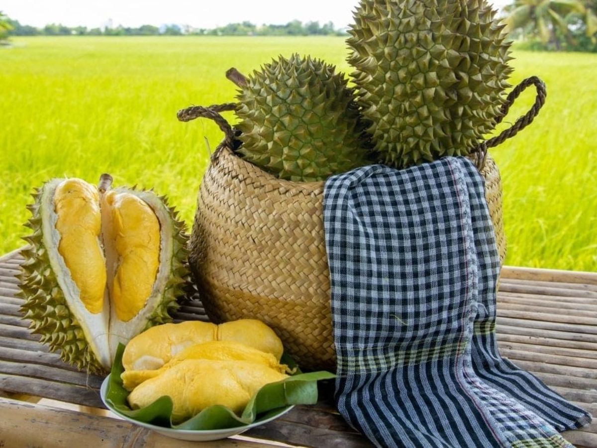 Du khách có thể đóng gói trái cây mang về chiêu đãi người thân.