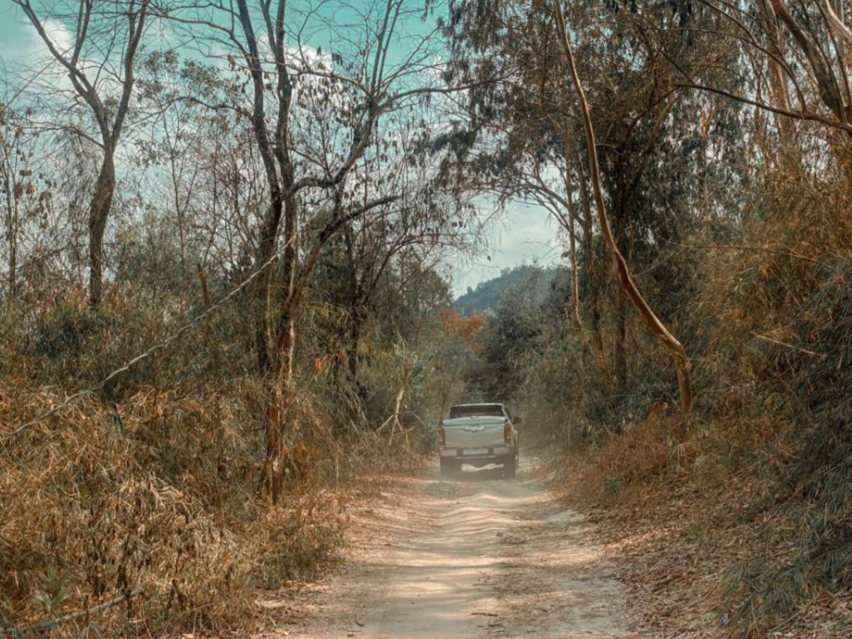 Cung đường trekking trên đảo.