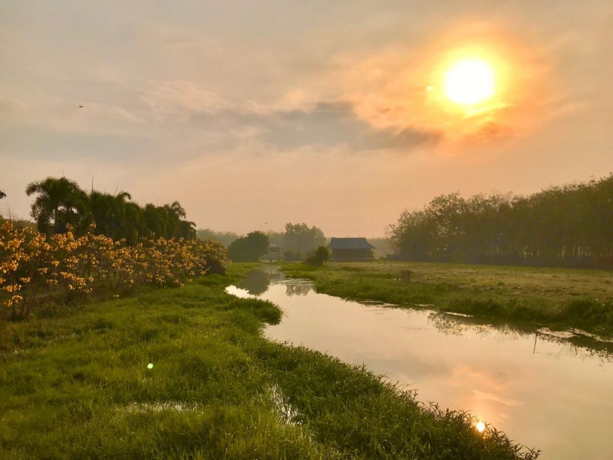 Chùa Tây Pháp nằm trong khuôn viên Thủy Hoa Viên