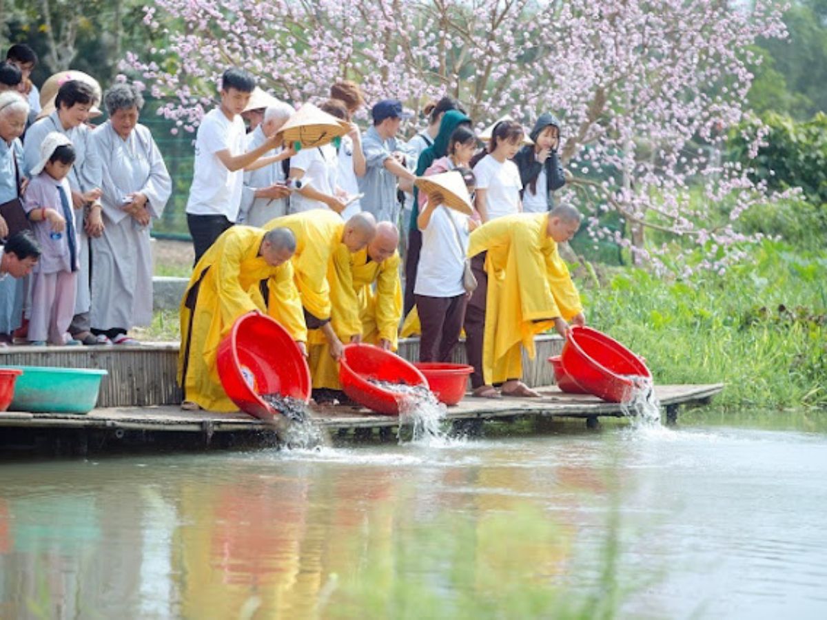 Các hoạt động thiện nguyện tại chùa Tây Pháp Tây Ninh.