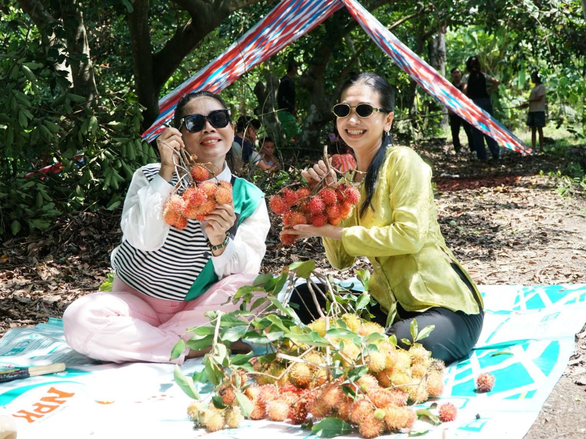 Hoạt động hái trái cây và thư giãn tại vườn trái cây Út Phương.