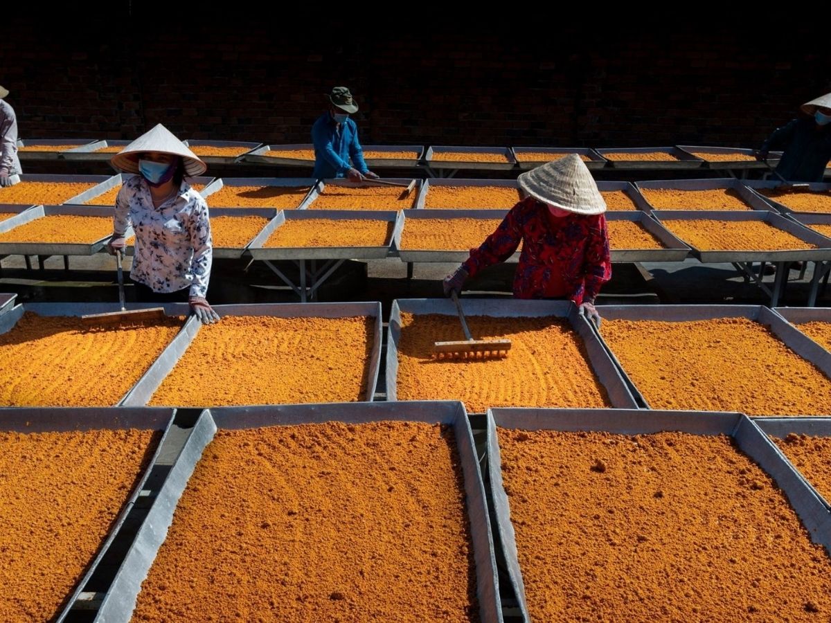 Tay Ninh shrimp salt is a famous specialty of the holy land.