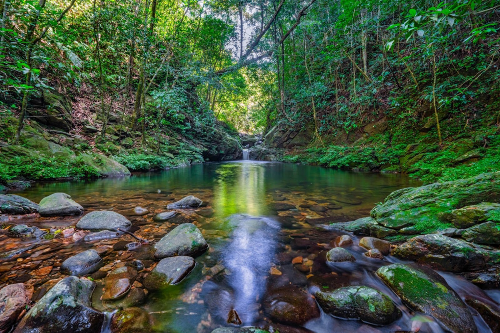 The untouched beauty of Five Lakes, crystal-clear water beneath a lush emerald canopy
