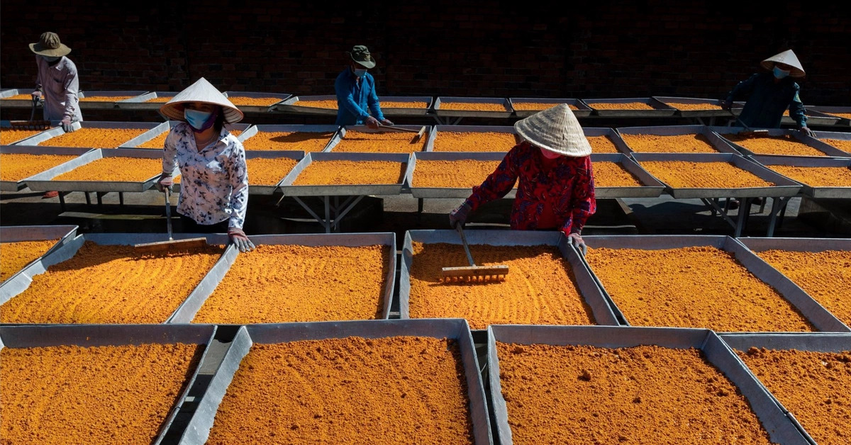 Tay Ninh shrimp salt, dried naturally under the sun