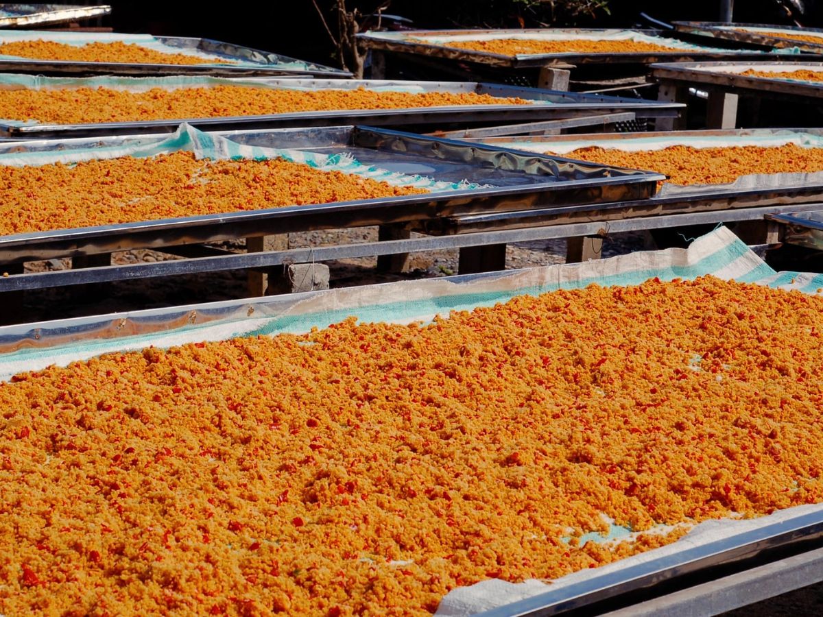 Muối tôm Tây Ninh được chế biến từ những nguyên liệu địa phương.