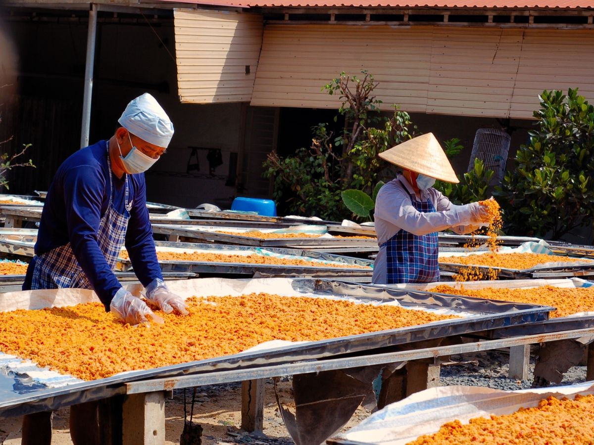 Mua muối tôm Tây Ninh ở các cửa hàng OCOP uy tín.