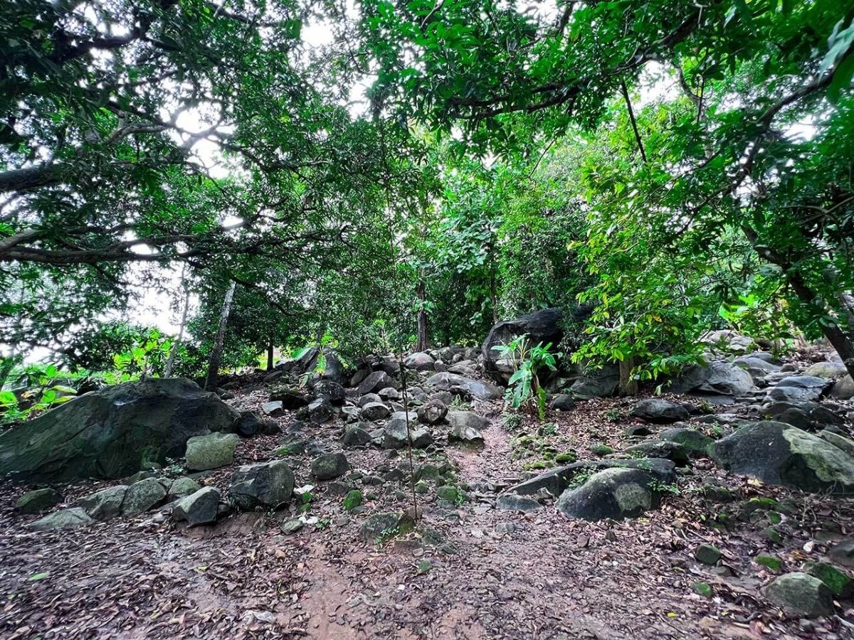 Mùa khô là thời điểm lý tưởng để leo núi Bà Đen an toàn và chiêm ngưỡng cảnh sắc xung quanh núi.