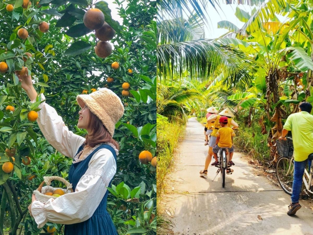 Vườn trái cây Út Phương thu hút du khách khi đến Tây Ninh.