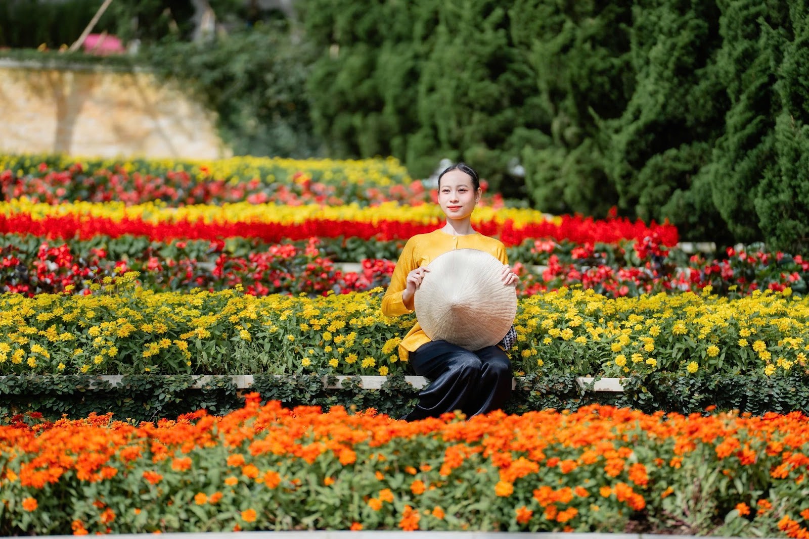 Muôn hoa khoe sắc trên đỉnh núi Bà Đen.