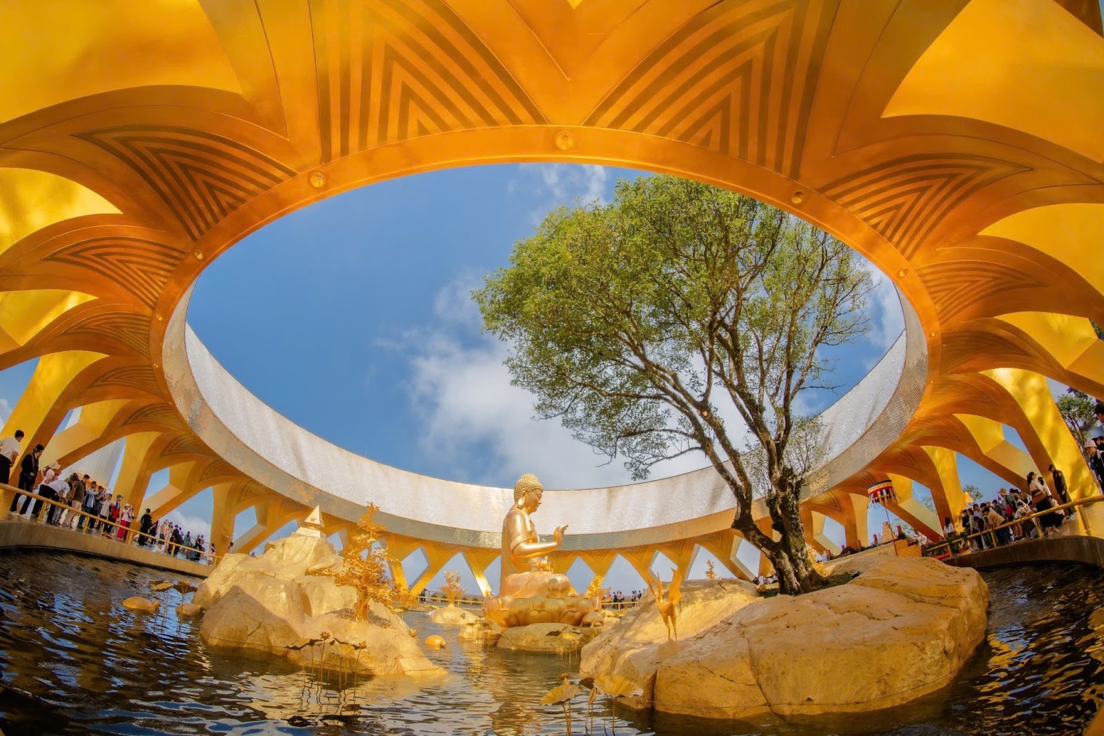 Vườn Ưu đàm và tượng Phật Câu Na Hàm Mâu Ni trong sắc vàng hoàng kim.