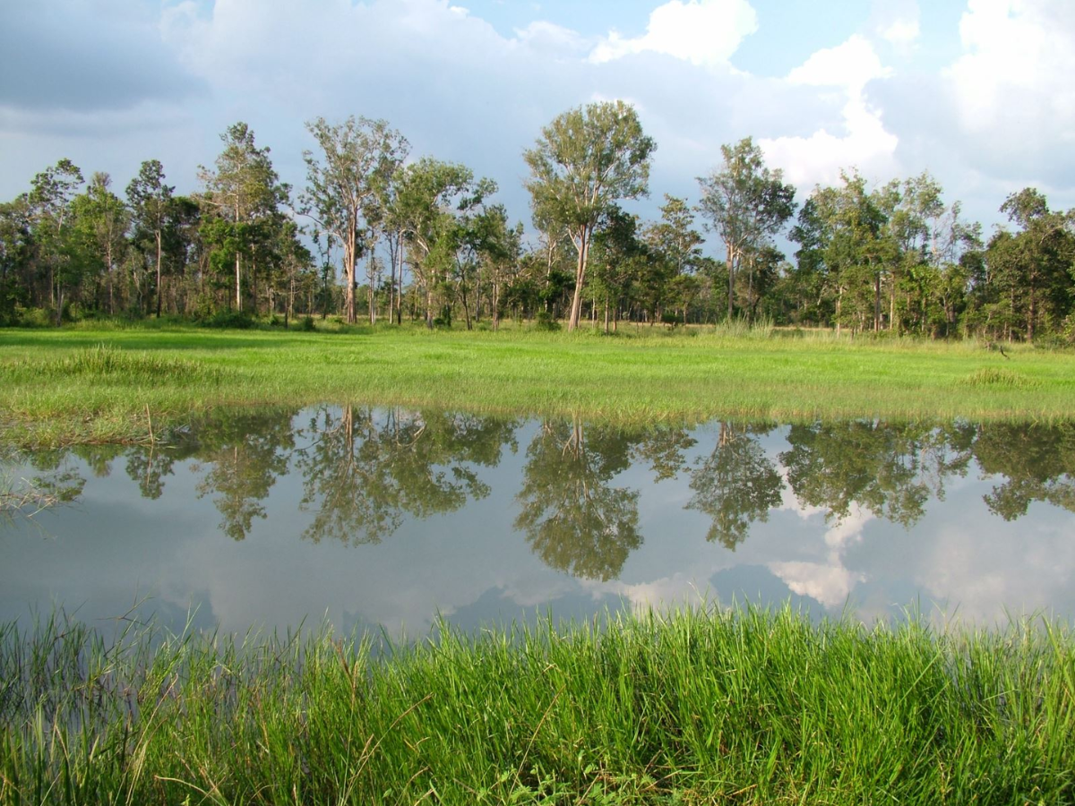 Rừng quốc gia Lò Gò - Xa Mát sở hữu hệ sinh thái rừng đặc trưng