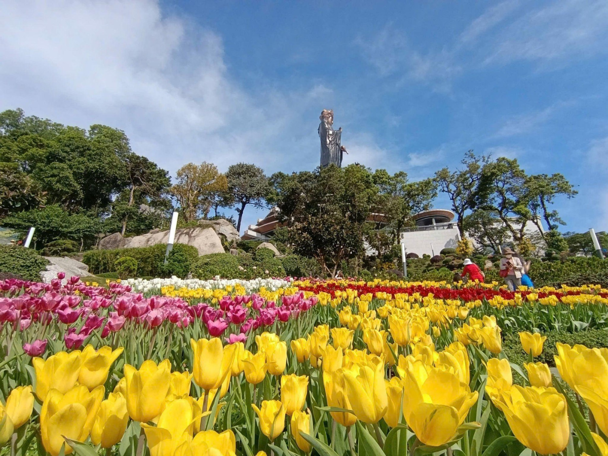 Check in Vườn hoa trên đỉnh Vân Sơn