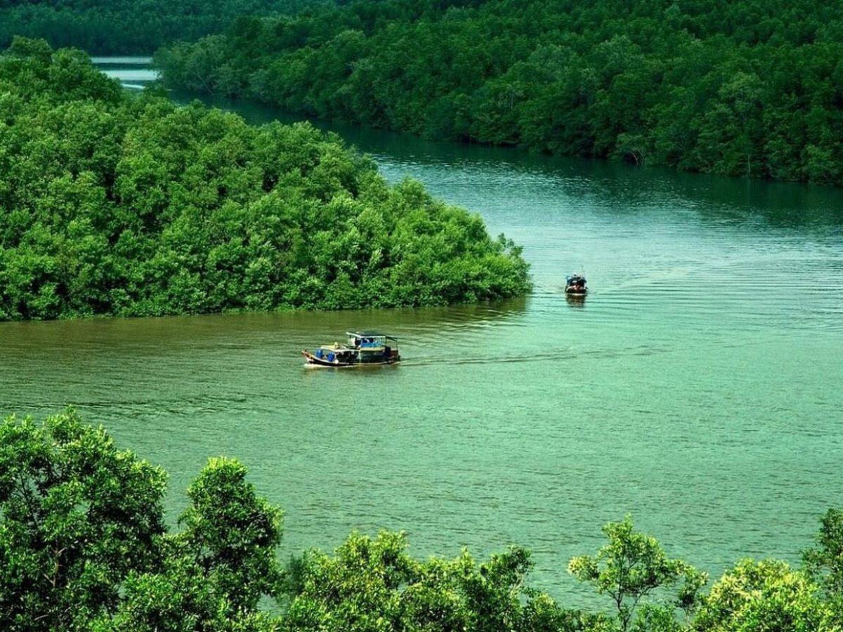 Cần Giờ sở hữu cảnh quan kết hợp giữa rừng và biển