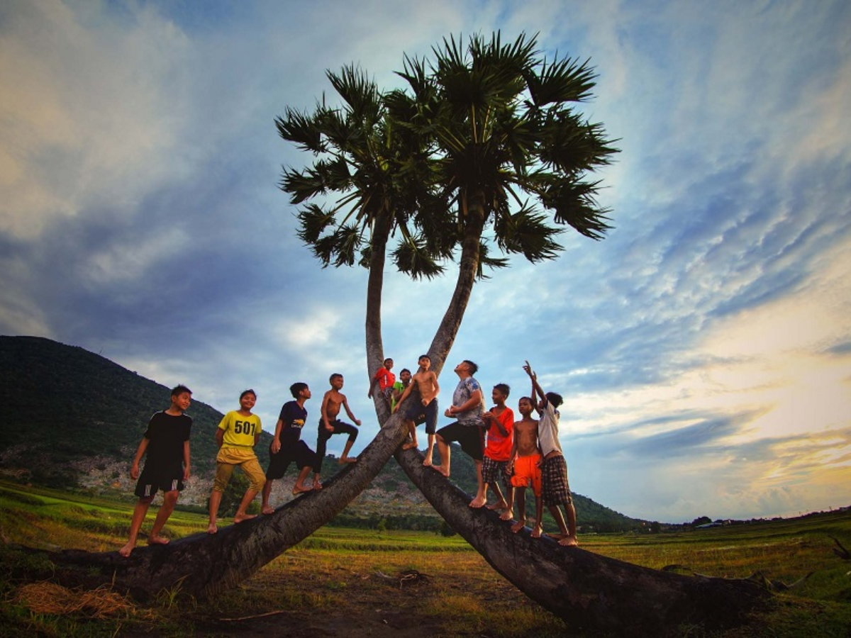 Cây thốt nốt tình yêu là địa điểm check-in mới nổi