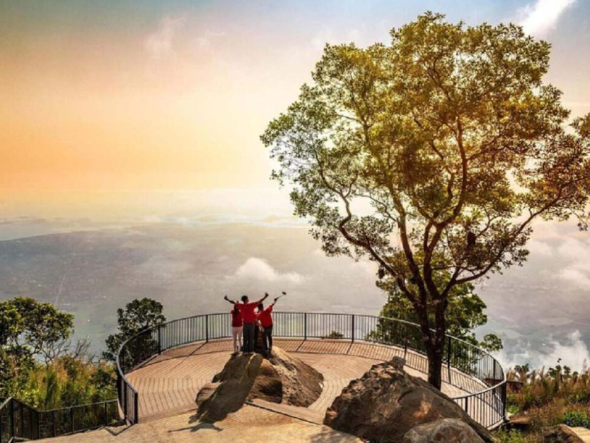 Nhiều du khách checkin ngắm cảnh từ trên cao