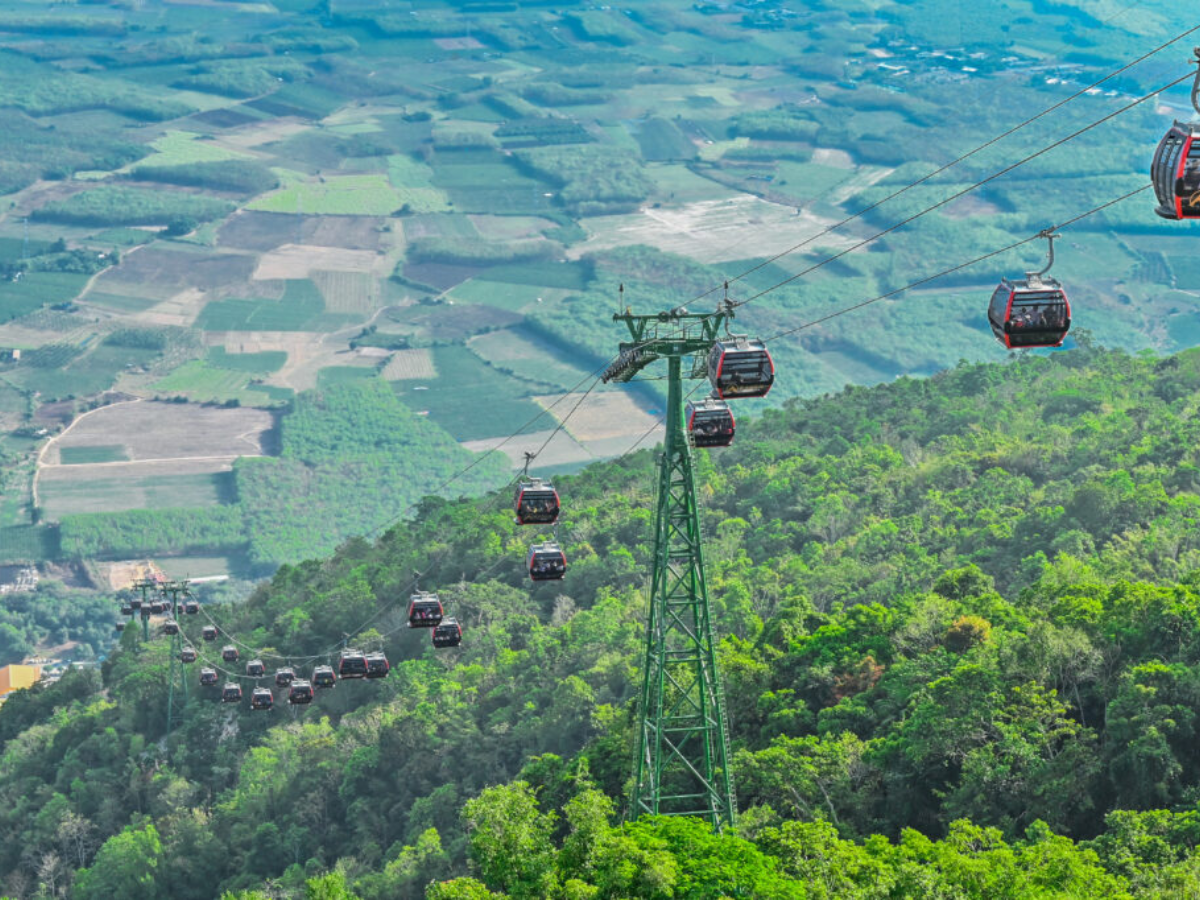 Ngắm nhìn cảnh quan từ trên cáp treo