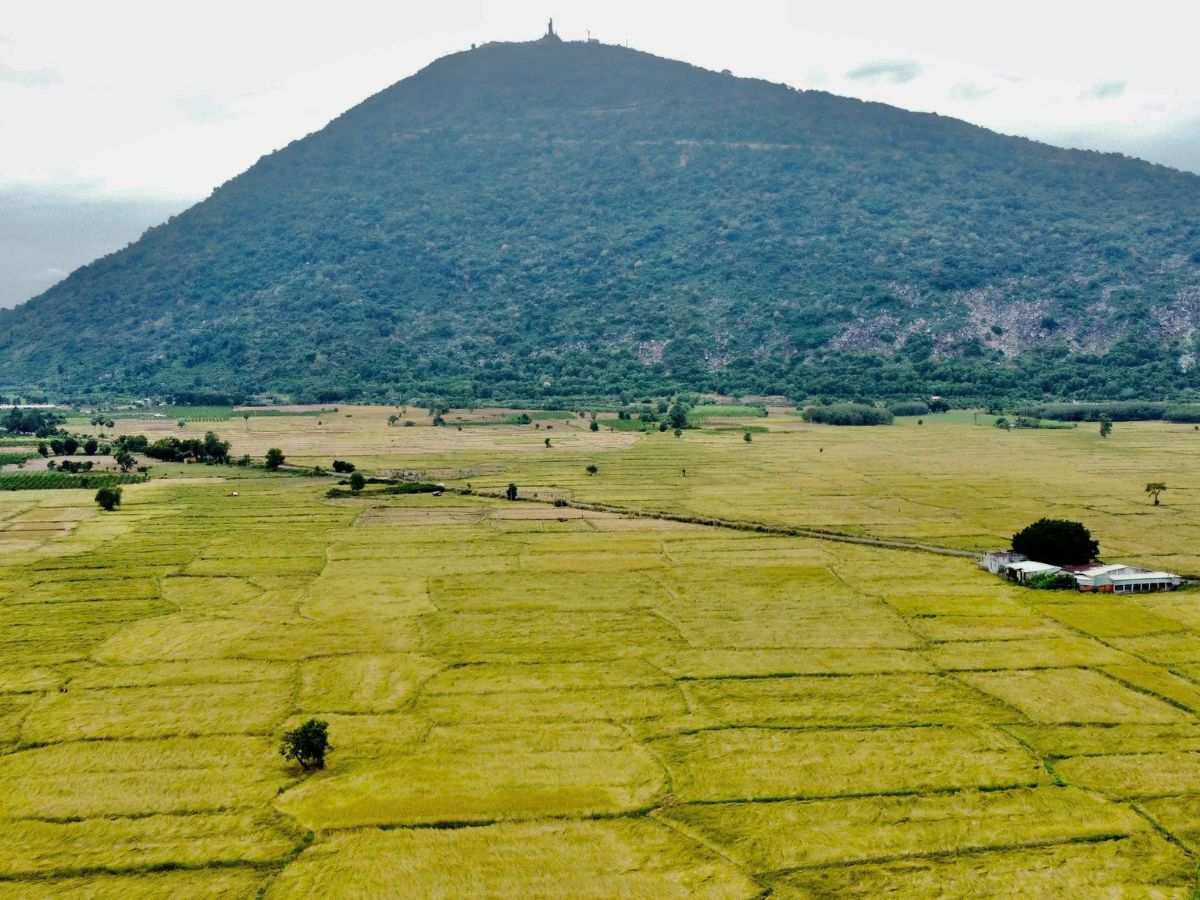 Quãng đường từ TP.HCM đến Núi Bà Đen băng qua cánh đồng bạt ngàn