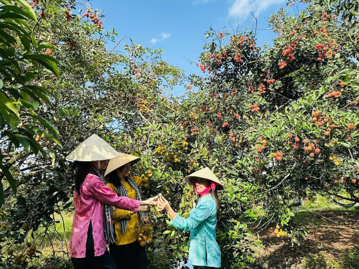 Du khách mặc trang phục thoải mái, phù hợp để check-in và khám phá vườn.