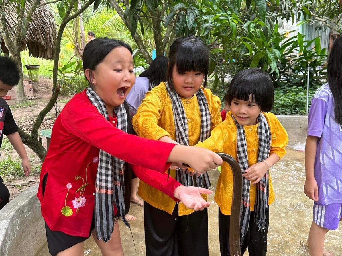 Nhiều hoạt động tại vườn trái cây 8 Hòa cho trẻ nhỏ và gia đình.