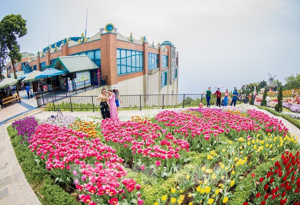 Tourists should travel early in the morning to experience the most beautiful scenery