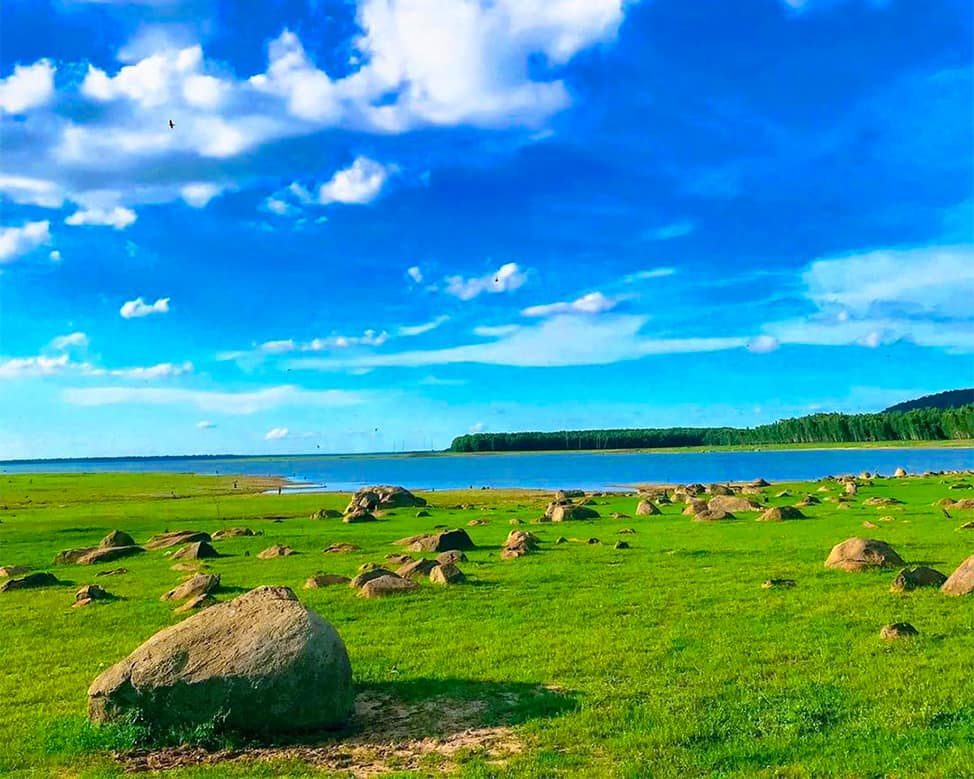 The lush green natural scenery at Dau Tieng Lake