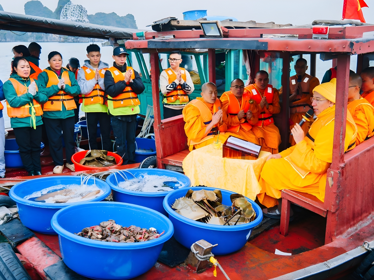 Chúng ta có thể phóng sinh bất cứ loài vật nào nếu chúng không làm hại đến môi trường và người khác. (Nguồn: Sưu tầm)