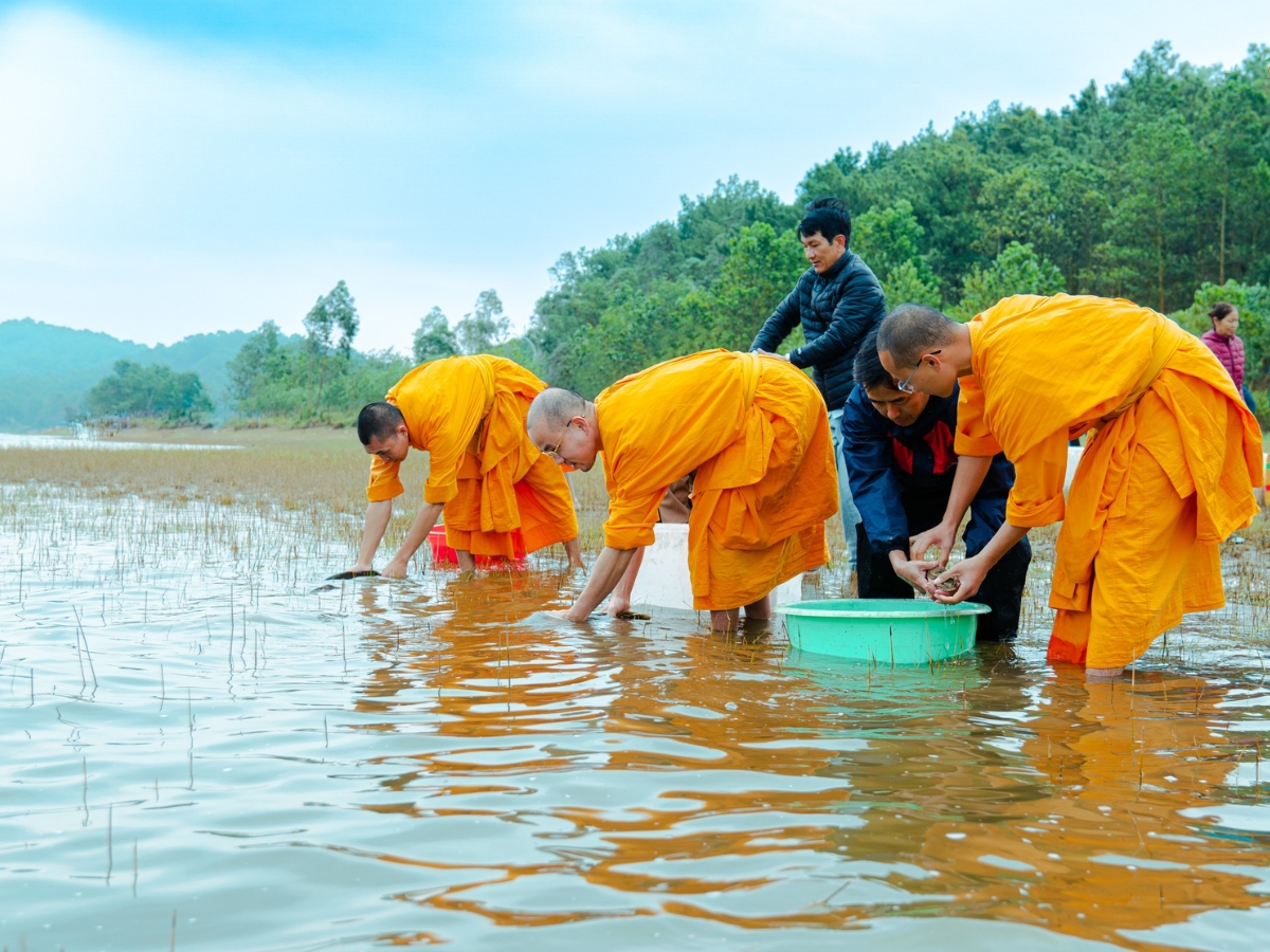 Phóng sinh là hành động cứu mạng các loài vật và thả chúng về môi trường tự nhiên. (Nguồn: Sưu tầm)