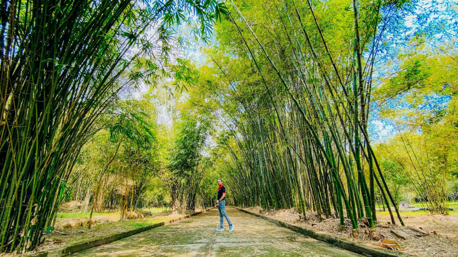 Làng tre Phú An là điểm đến phù hợp để đi dạo, thư giãn trong không gian xanh và yên tĩnh. (Nguồn: Sưu tầm)
