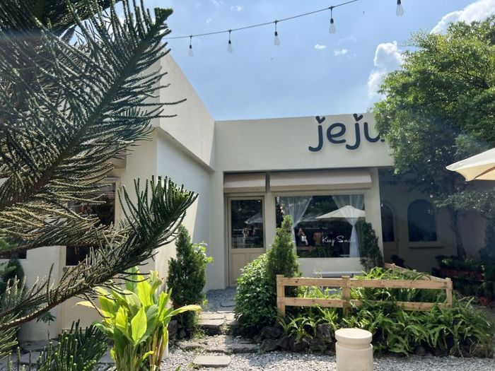 Jeju Coffee Vietnam là điểm check-in được giới trẻ yêu thích. (Nguồn: Sưu tầm)