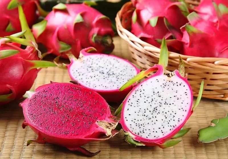 Khu vực Châu Thành phổ biến cả thanh long ruột trắng và thanh long ruột đỏ. (Nguồn: Sưu tầm)