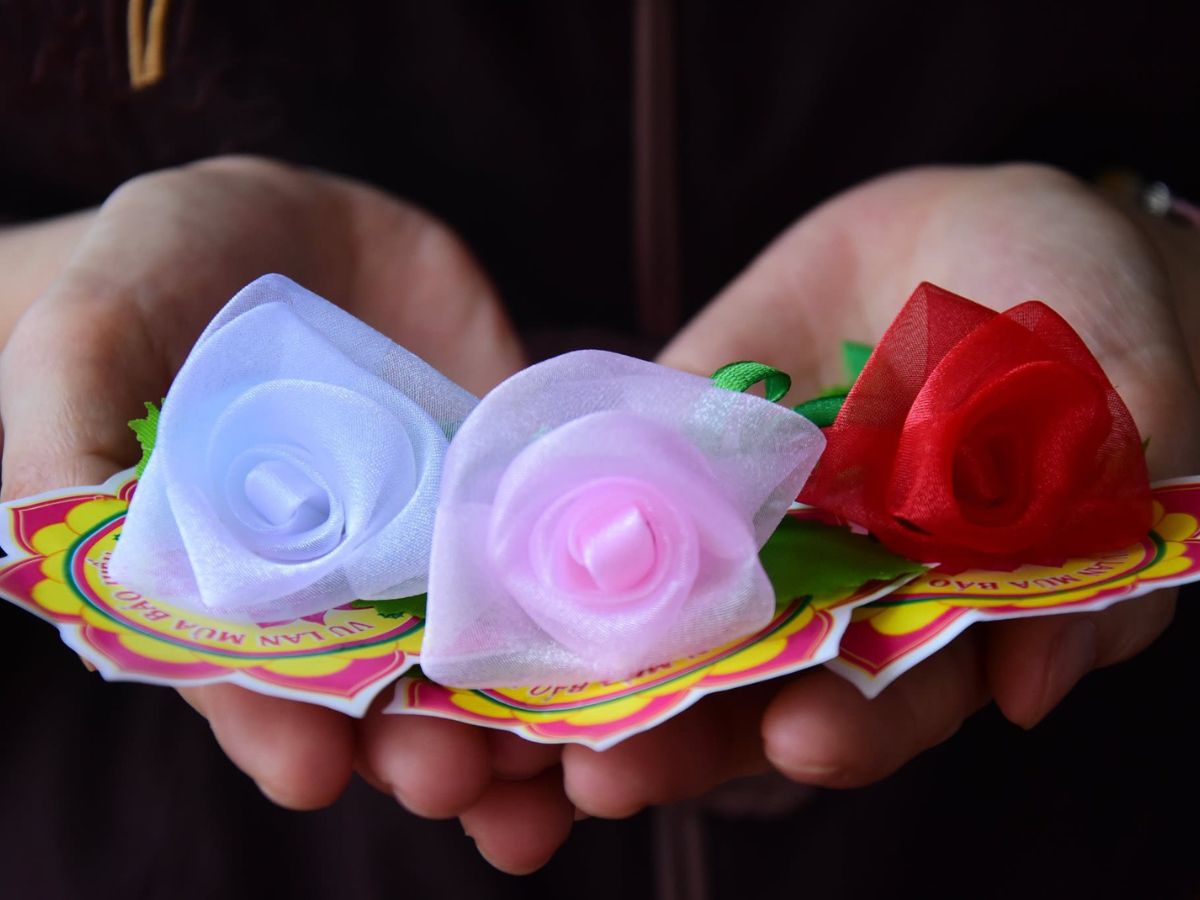 Phong tục cài hoa hồng trong ngày Vu Lan (Nguồn: Sưu tầm)