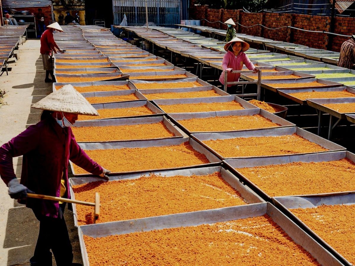 Làng nghề làm muối tôm Tây Ninh là văn hóa phi vật thể. (Nguồn: Sưu tầm)