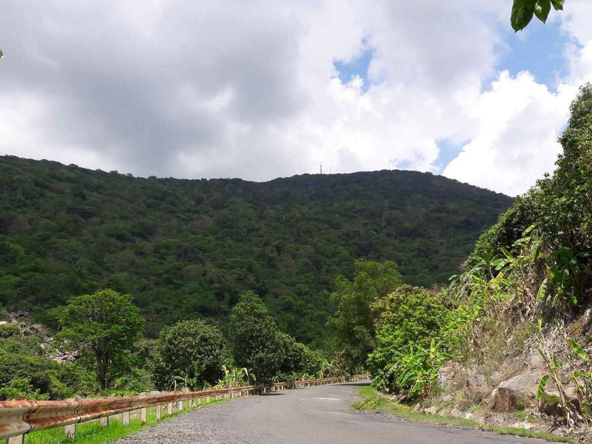 Con đường ven núi Bà Đen mở ra hành trình trekking giữa rừng xanh.
