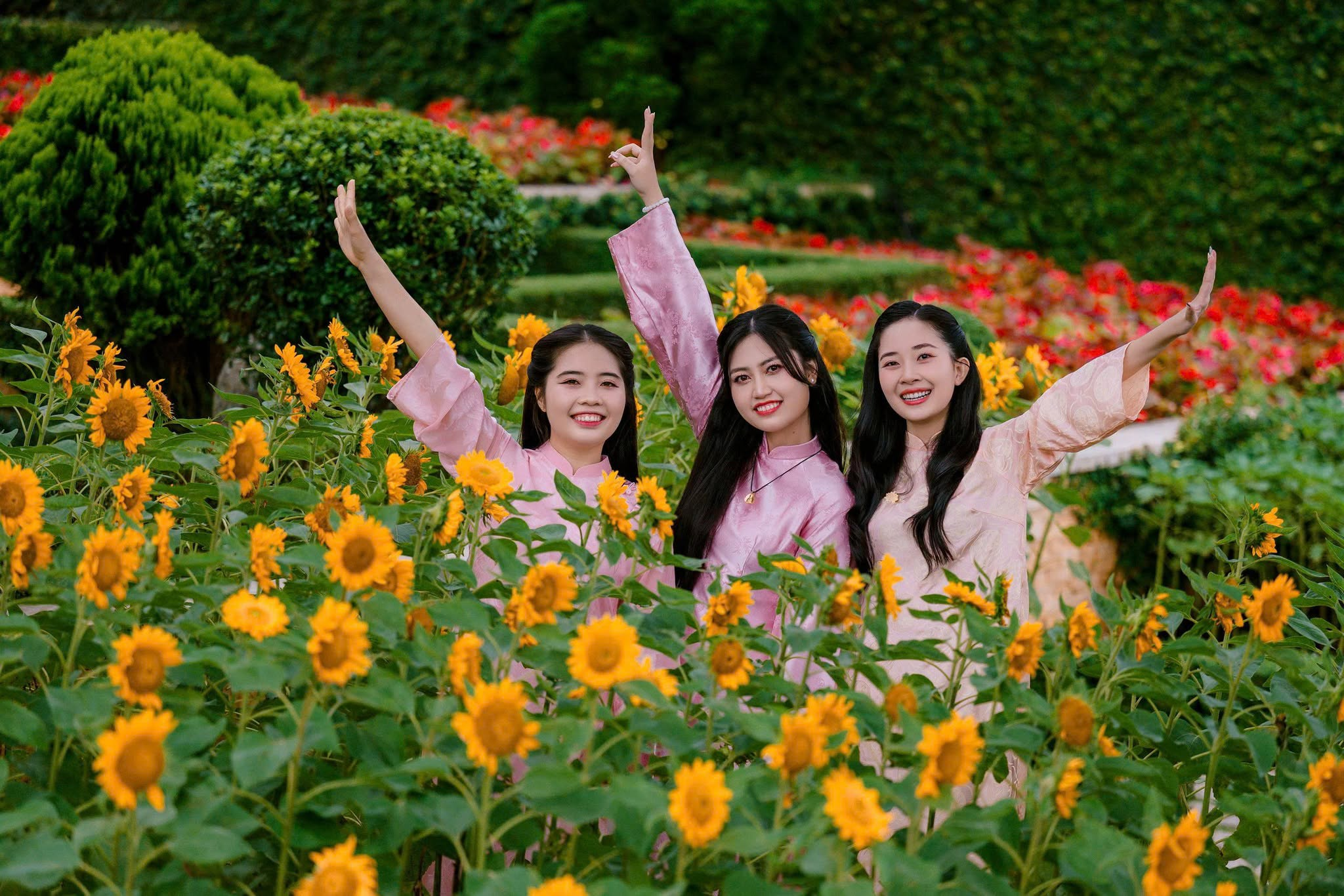 Visitors beaming as they take photos in the mountaintop flower garden