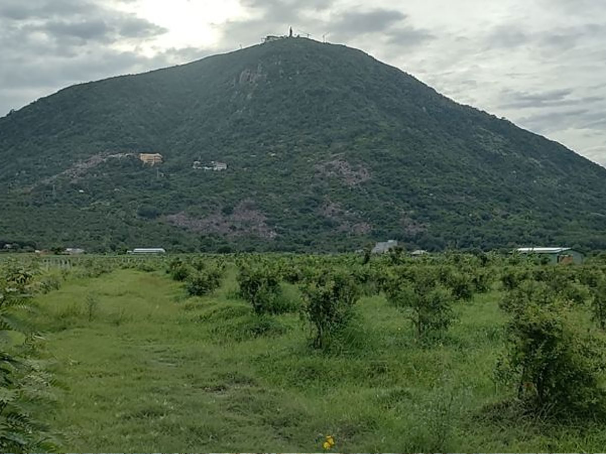 Thời điểm lý tưởng để khám phá khu du lịch Dương Minh Châu Tây Ninh từ tháng 5 đến tháng 10. (Nguồn sưu tầm)