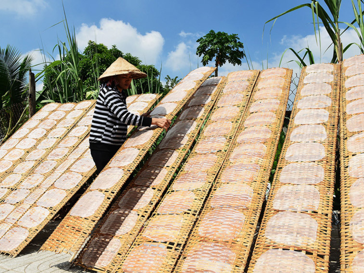 Làng nghề bánh tráng phơi sương Trảng Bàng thu hút đông đảo du khách ghé thăm