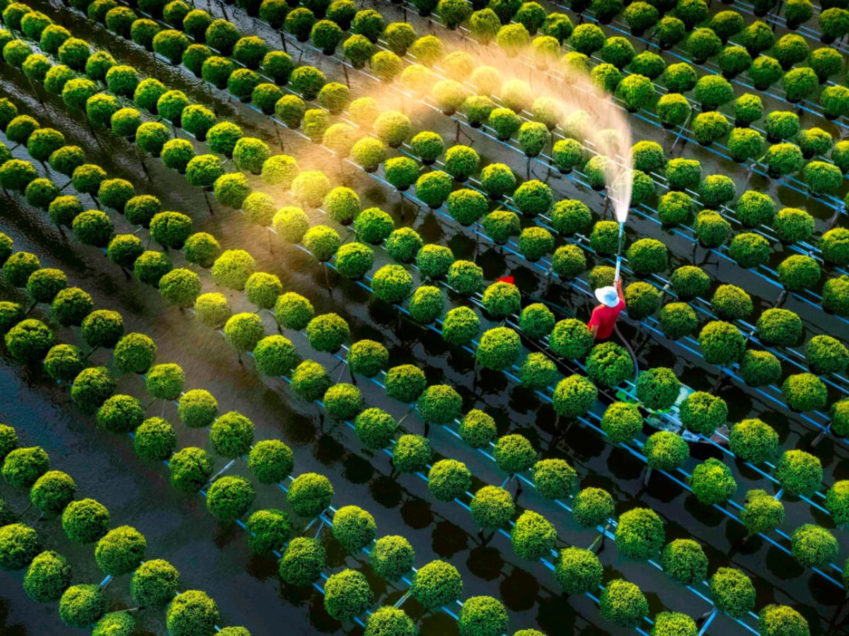 Làng hòa Sa Đéc là điểm đến nổi bật trong hành trình khám phá Đồng Tháp Mười từ Sài Gòn