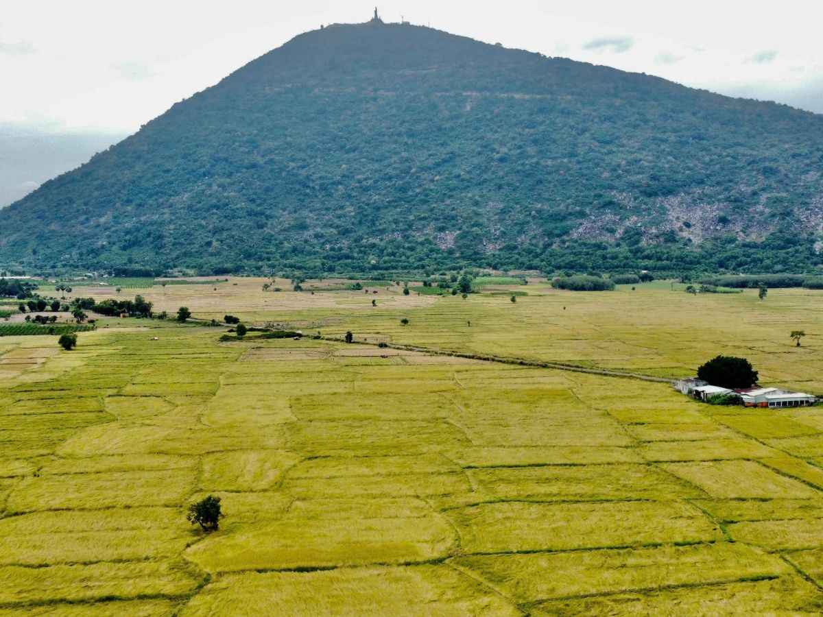 Cánh đồng Khedol rộng lớn dưới chân núi Bà Đen.