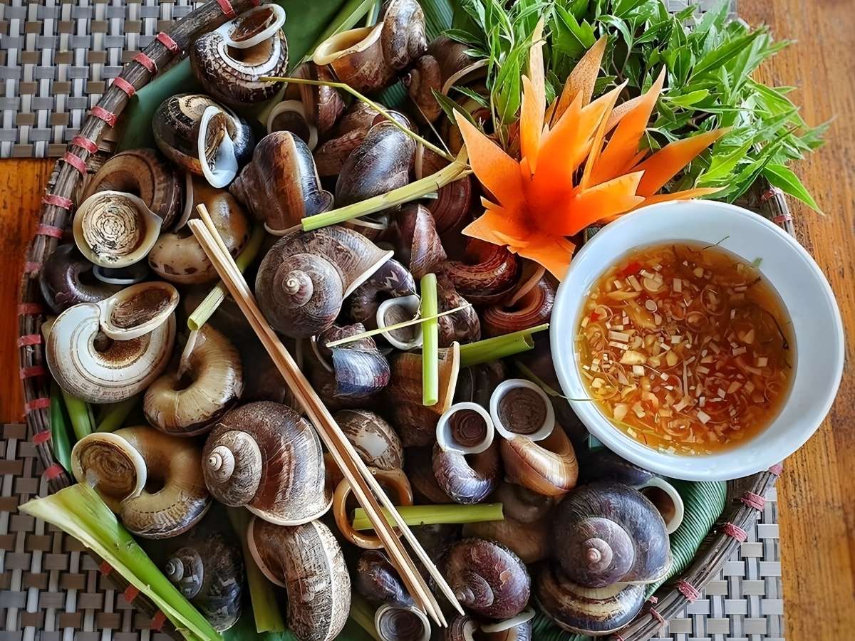 Ốc xu là đặc sản núi Bà Đen được nhiều du khách chọn thử.