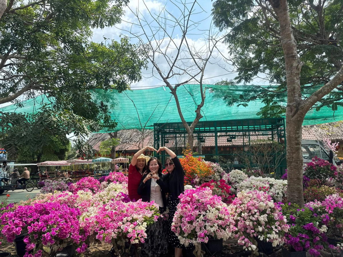 Nhiều du khách check in khu vườn bonsai kết hợp hồ cá Koi