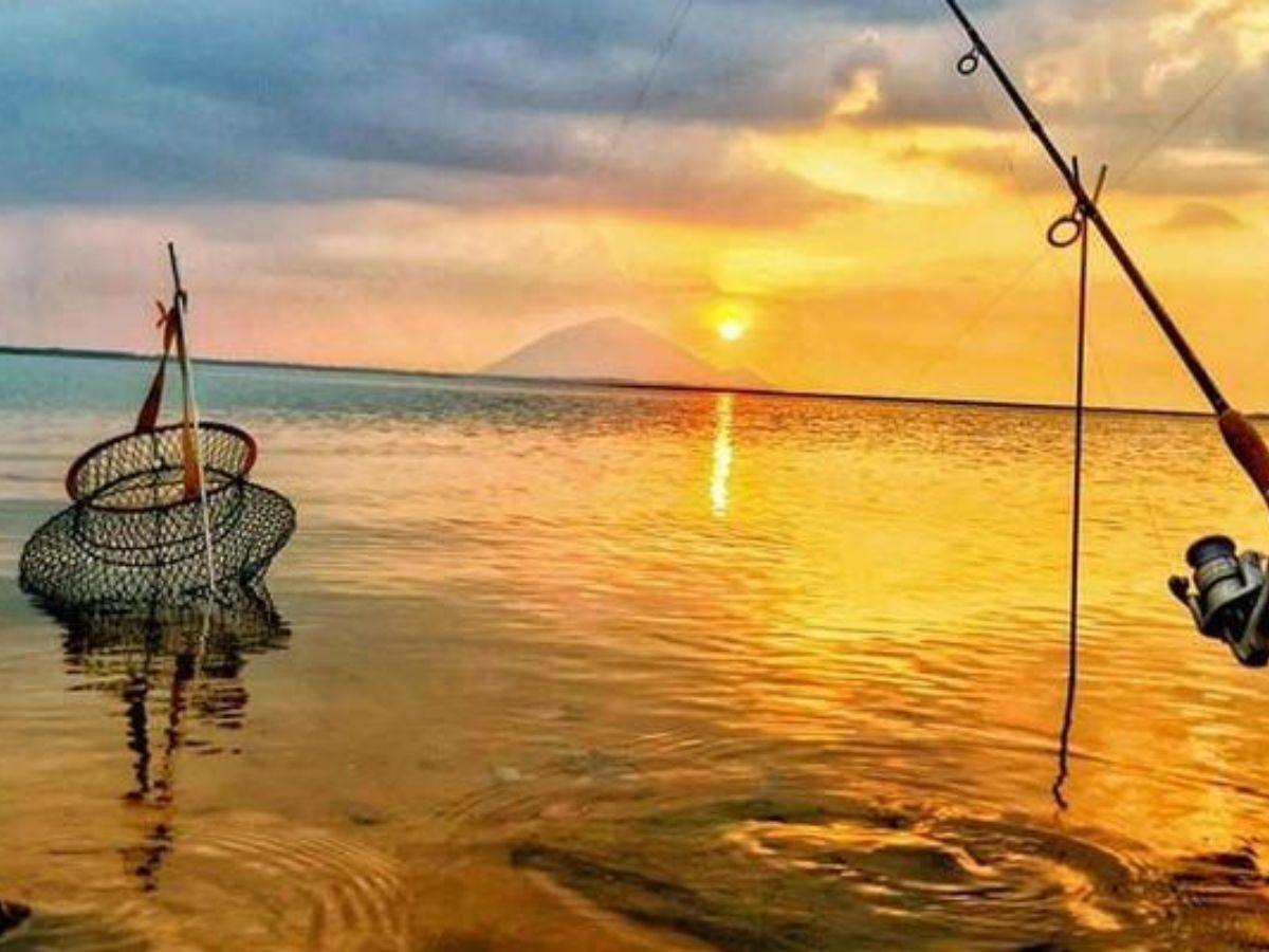 Du khách đi cắm tại, câu cá để ngắm vẻ đẹp hồ Dầu Tiếng