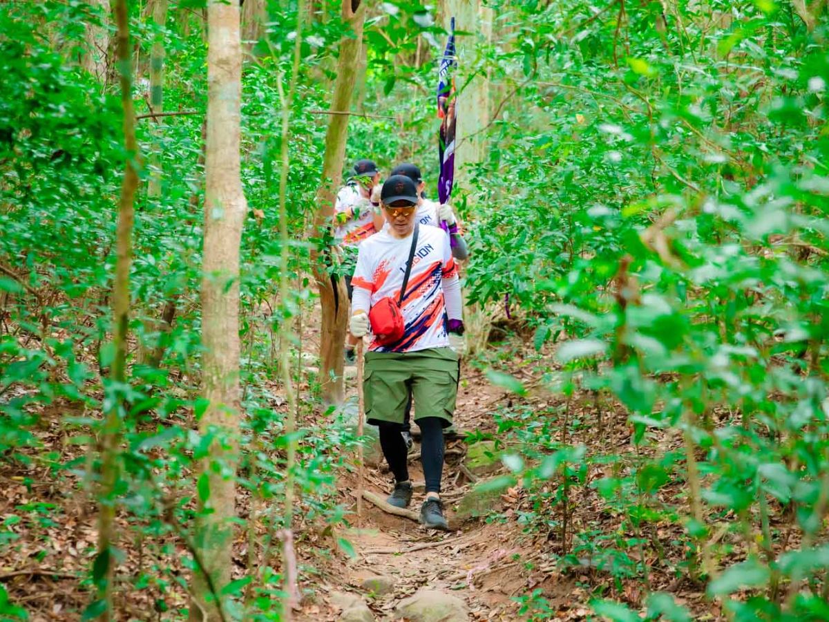 Trải nghiệm trekking rừng nguyên sinh, khám phá hệ sinh thái đặc trưng.