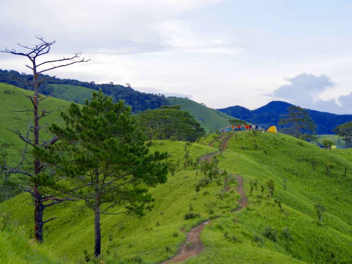 Cung đường trekking cực đẹp tại Tà Năng Phan Dũng