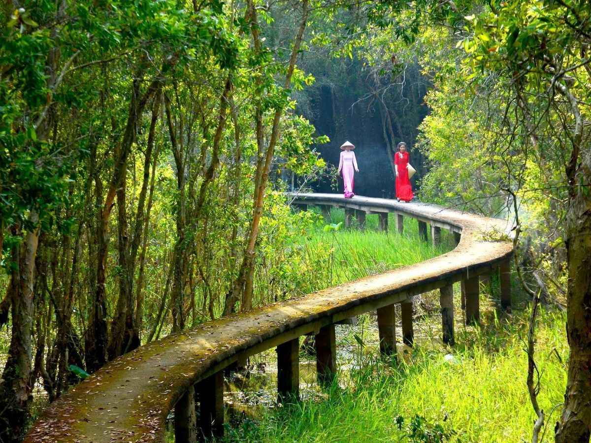 Du khách trải nghiệm tản bộ băng qua con đường xuyên rừng tràm tại làng nổi Tân Lập