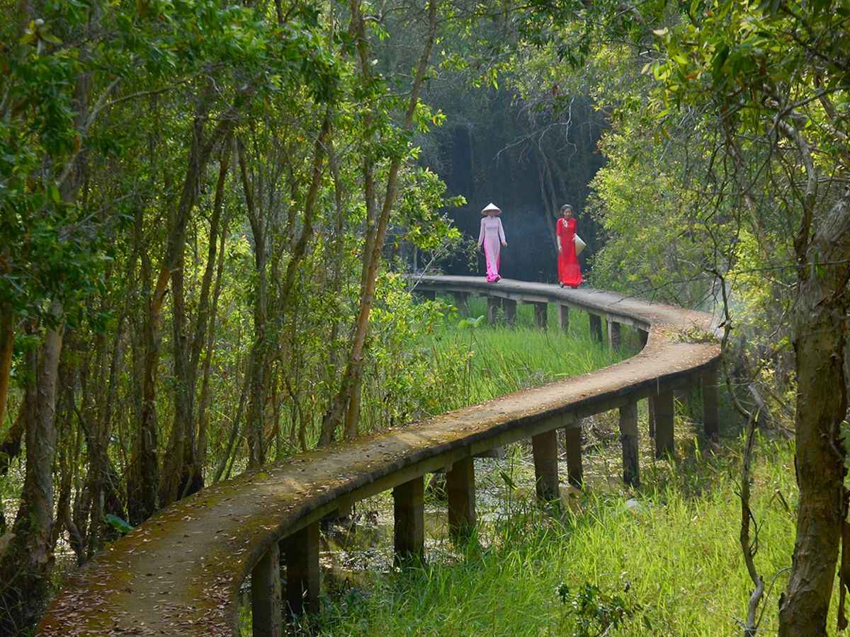 Cung đường xuyên rừng tràm dài nhất Việt Nam tại làng nổi Tân Lập giúp du khách trải nghiệm vừa tản bộ vừa ngắm cảnh.