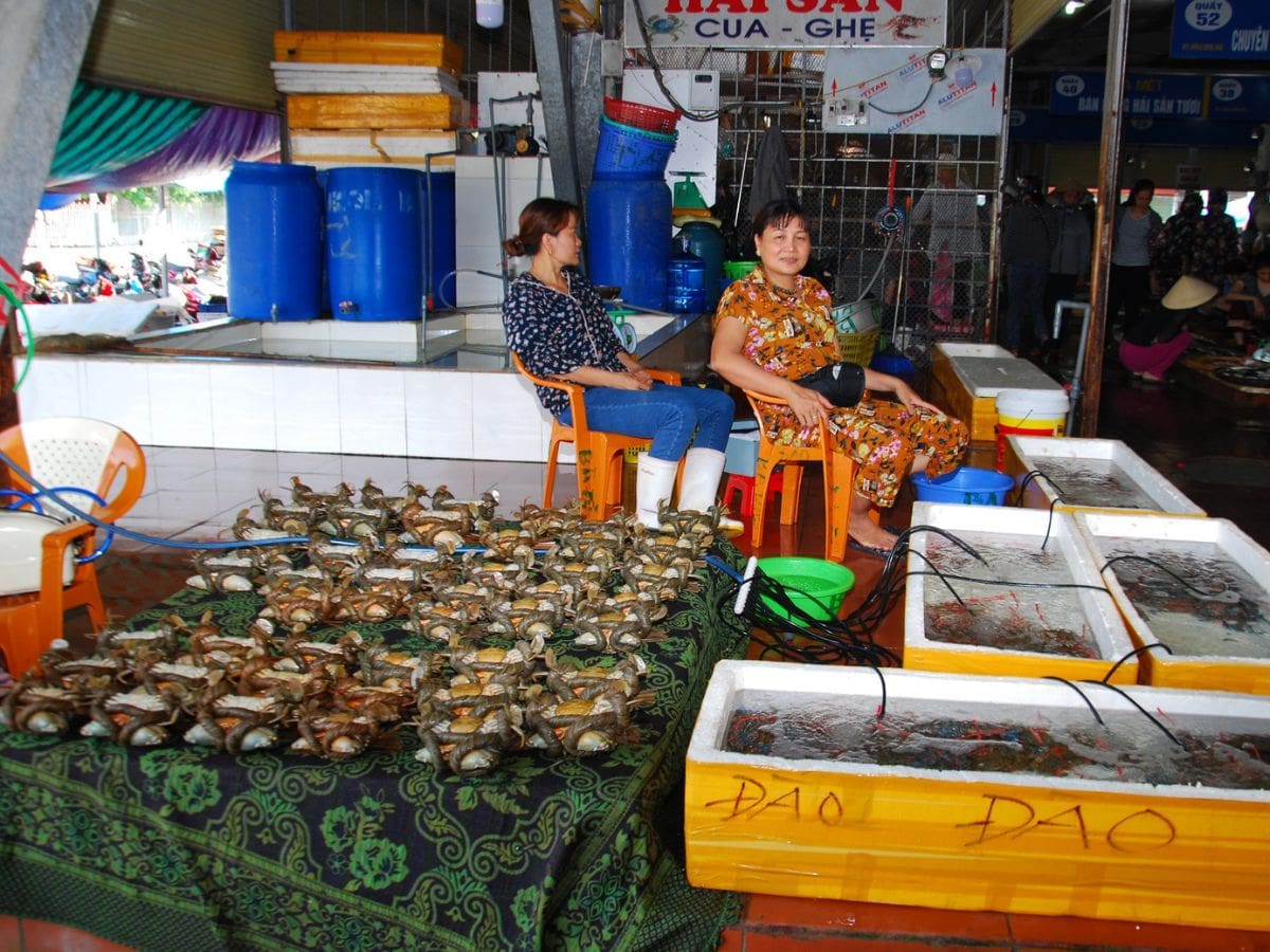 nhung-loai-hai-san-tuoi-song-nen-mua-o-cho-cot-do-sam-son-nguon-anh-suu-tam