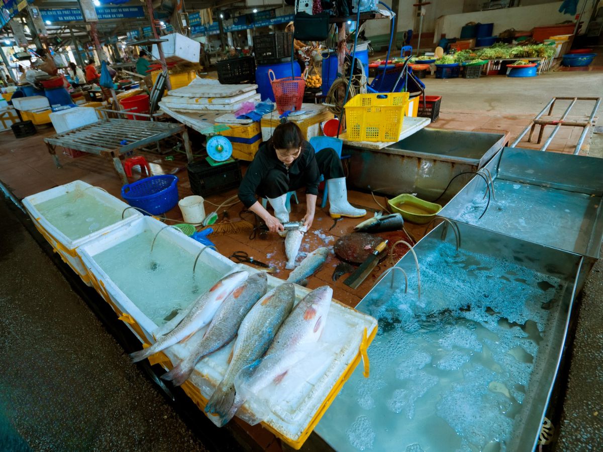 can-bao-quan-ky-luong-de-co-the-van-chuyen-di-xa