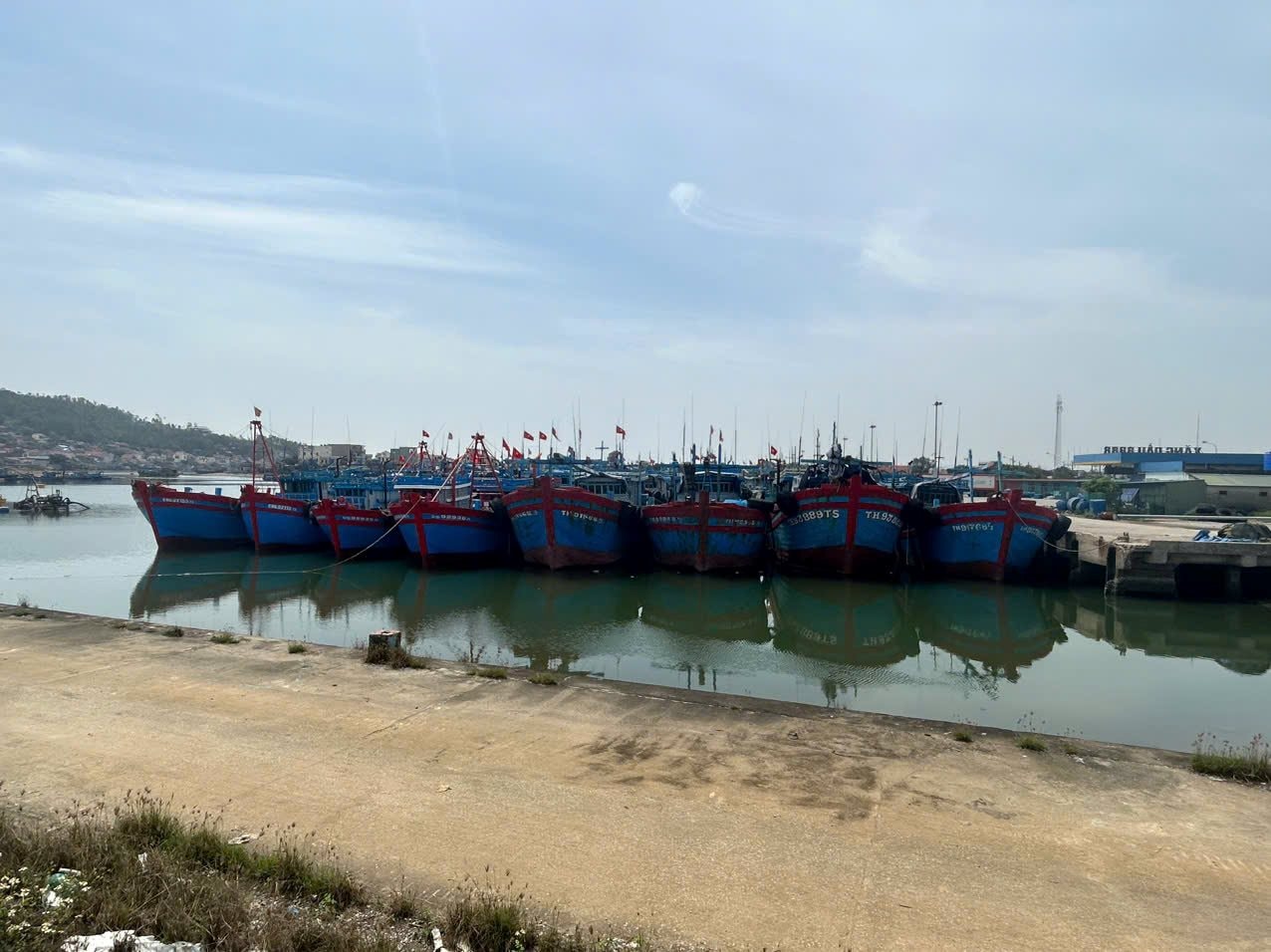 Cửa biển Bạch Lạng là nơi neo đậu và giao thương của các tàu đánh cá.