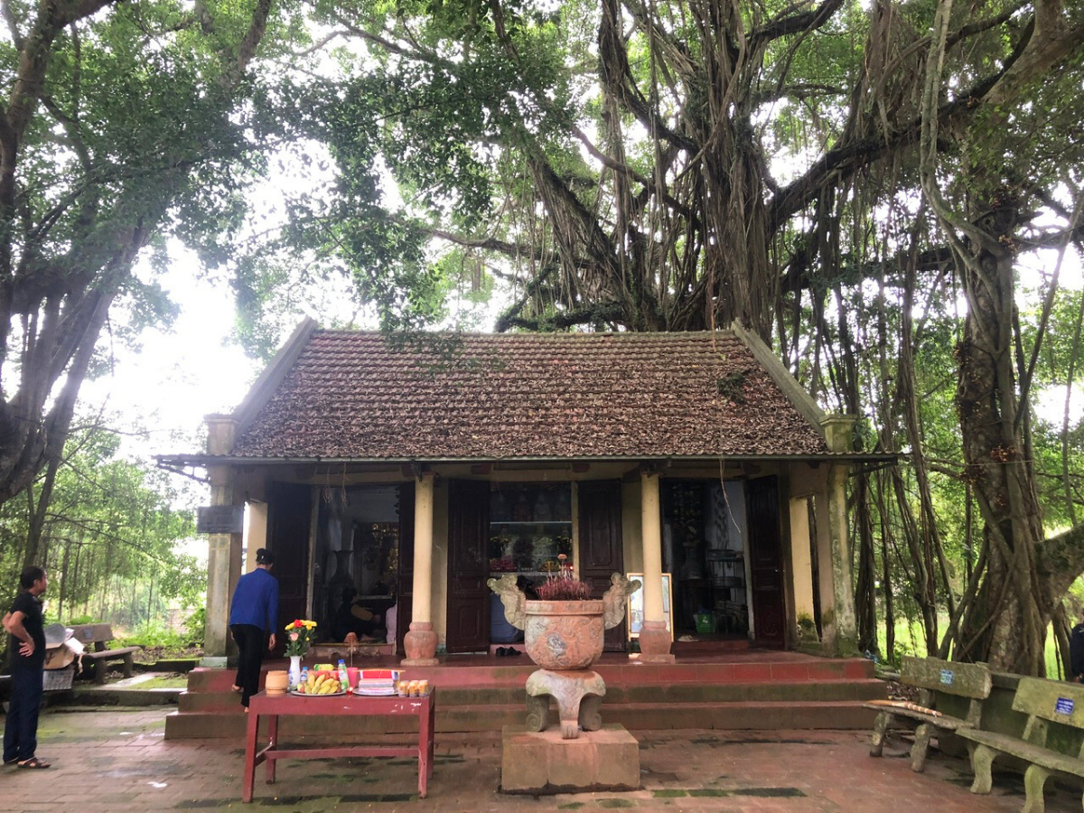 Gợi ý lịch trình khám phá bãi cò Tiến Nông với đa dạng trải nghiệm.